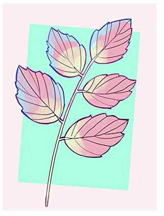 Disney Wandbild von Komar | Cinderella Plant | Kinderzimmer, Babyzimmer, Dekoration, Kunstdruck | Größe 30x40cm (Breite x Höhe) | ohne Rahmen | WB017-30x40