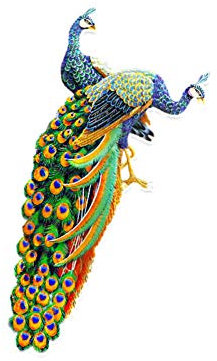 SUIFENG Aufkleber 9.1 X 15.5 cm Cartoon Abstraktes Muster Pfau Dekor Auto Aufkleber Grafik