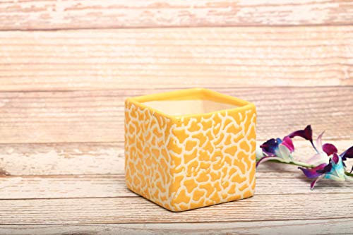 Maceta de cerámica cuadrada de 12,7 cm H4D4 (amarillo)