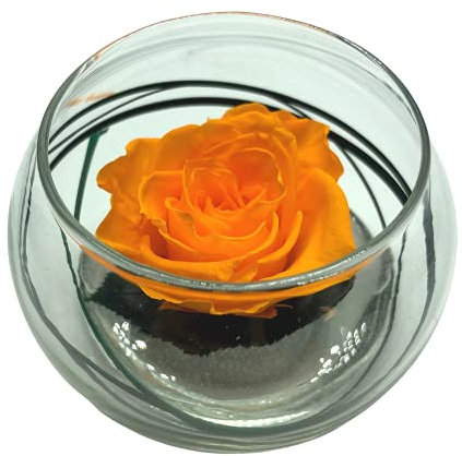 Rose Eternelle La Vie en Rose - Vaso a sfera in vetro, colore: Rosa stabilizzata - Composizione floreale (arancione)
