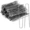 COM-FOUR® 200x aghi per edera - clip clip per composizioni floreali in floristica per decorazioni floreali - aghi per composizioni (Aghi di edera - 200 pezzi)