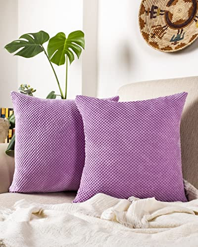 Gräfenstayn 2er-Set Cord-Samt Kissenbezug 50x50 cm - Öko TEX Standard 100 - weiche Deko-Kissenbezüge mit verdecktem Reißverschluss für Sofa und Bett (Flieder - kleines Muster)