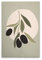 A.S. Création Leinwandbild Oliven Modern - Wandbild in Grün, Creme - 40 x 60 cm - DD132541