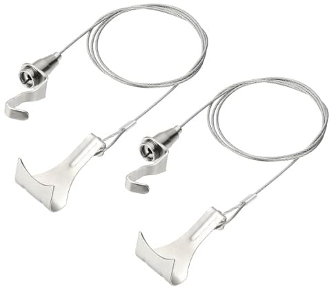 QUARKZMAN 2Pcs Kit Filo Regolabile Per Appendere Quadri 1m x 1.5mm Cavo Con Ganci A S