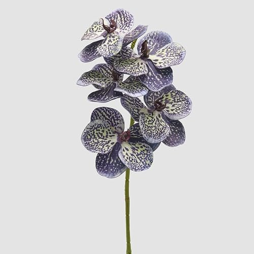 EDG Enzo De Gasperi Orchidea Vanda Ramo H 65 Cm Pianta Artificiale Mix Viola