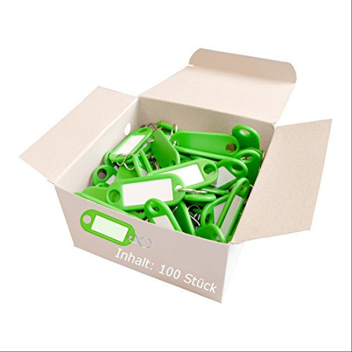 Wedo 262803404 Schlüsselanhänger Kunststoff (mit S-Haken, auswechselbare Etiketten) 100 Stück, grün