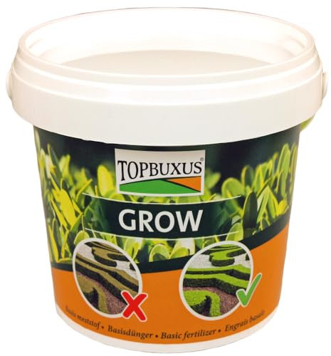 TOPBUXUS GROW - Professioneller Buchsbaumdünger - 500g für 10m2 - Keine gelben Blätter