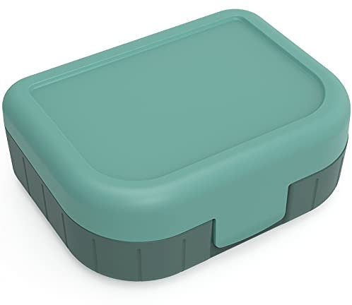 Rotho Memory Kids Vesperdose 1l, lebensmittelechter Kunststoff (PP) BPA-frei, grün, 1l (16.6 x 13.3 x 6.1 cm), Waldgrün, Nicht zutreffend