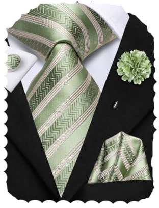 Hi-Tie Herren-Krawatten-Set Seiden-Paisley-Streifen-Einheitskrawatte mit Blumen-Lapelpin-Set
