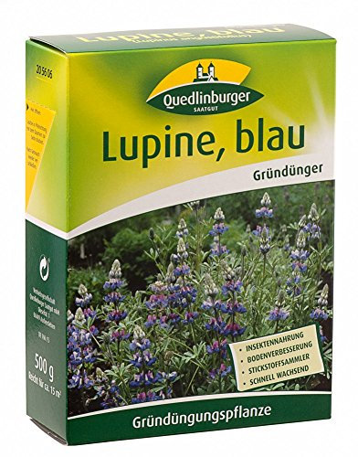 Quedlinburger 205606 Lupine blau, 500 g (Lupinensamen)