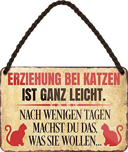 WOGEKA ART Retro Blechschild - Erziehung bei Katzen ist ganz leicht - witziger Spruch Geschenk-Idee Geburtstag Weihnachten Deko 18x12 cm Vintage-Design Hänge-Schild Metall HS206
