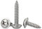 FandWay 100Pcs Self Tapping Screws 304 StainlessSteel,M5 Wood Screws Kit,Pan Head With Washer Self Drilling Screw,Wafer Head Sheet Metal Screw Phillips Drive for DIY Woodwork Repairs.