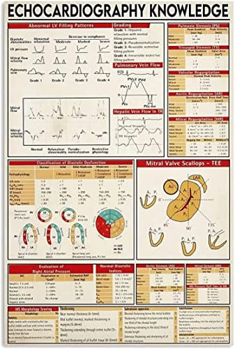 FWJZDSP Echokardiographie-Wissen, Metallblechschilder, Echokardiographie-Infografik-Poster, Kardiologie-Leitfaden, Plaketten, Arztpraxis, Klinik, Heimwanddekoration, 30,5 x 40,6 cm
