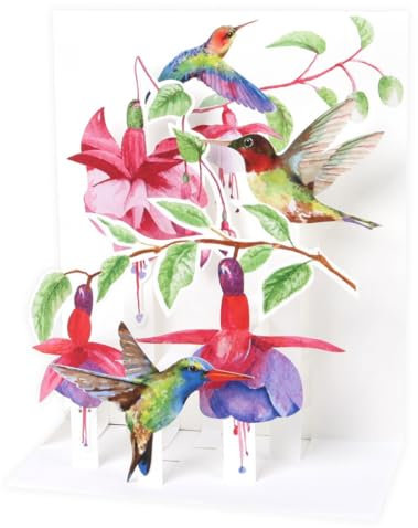 SOUND Pop Up 3D Karte Kinder Geburtstag Musik Kolibri Vogel 18x13cm