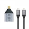 xiwai 10Gbps 100W Cable USB-C Type C Female Source to Mini Displayport DP Sink HDTV Adapter 4K 60hz 1080p for Tablet & Phone & Laptop