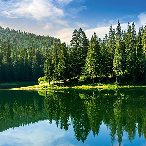 Eurographics 50x50 DecoGlass, DG-DT51080 Idyllic Green Lake View Deco Glas 50 x 50 x 2 cm, grün, 50x50x2 cm