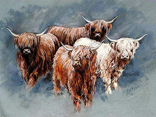 YSCOLOR Diamant Painting Diamant Malerei Highland Cattle Cow 5D Runde Diamant Malerei Kreuzstich Strass Küche Dekor Wandaufkleber & Wandbilder 30X40Cm