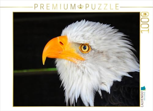 CALVENDO Puzzle Weisskopfseeadler | 1000 Teile Lege-Größe 64 x 48 cm Foto-Puzzle für glückliche Stunden