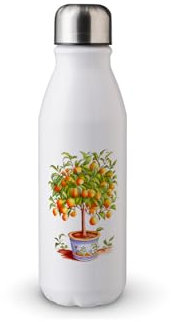MAXIKIWI - Borraccia a parete singola con tappo a vite, in alluminio leggero non isolato, senza BPA, a prova di perdite - Acquerello arancione - 500 ml