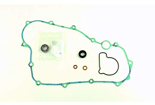 Athena Parts P400210475008 Dichtungssatz für Wasserpumpe, Schwarz