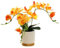 Générique Orchidée Artificielle Orange à Trois Branches en Pot à Fond Doré Phalaenopsis Décoration Fleur en Pot Simulation Blanche Papillon Fleur (Orange)