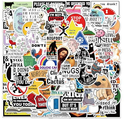 Nurila Aufkleber 100 Stück Lustige Sticker Set,Wasserfeste Aufkleberfür Laptop Skateboard Scrapbook Trinkflasche MacBook IPad Handy Tagebuch Tassen Moped Fahrrad Koffer Notizbuch usw 4.9 * 5CM