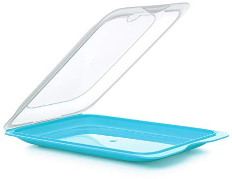 TATAY Cold Meat Container for Fridge | 1 Unit Standard | Fridge Storage | Removable Lid, Stackable | Microwave, Freezer and Dishwasher Safe | BPA-Free, 17 x 3.2 x 25.2 cm, Colour Blue