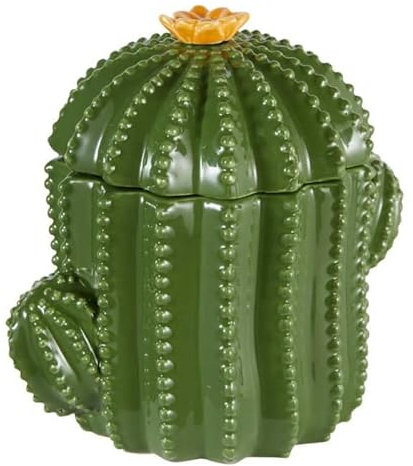 Atmosphera Créateur d'intérieur - Boîte Cactus Déco en Céramique Yucatan 16cm Vert