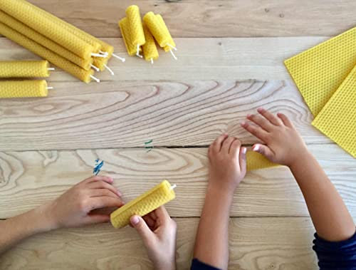 Biene XXL wachs-Kerzen Bastelset für Kinder und Erwachsene 24 Große Kerzen deutsches Bienenwachs 2Kg inkl. Docht Bienenwachsplatten Duft DIY selber Machen (19cm x 39cm min. 24St 2kgPaket), Gelb