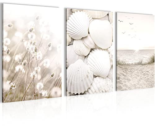 Novart AUFHÄNGFERTIG - Wandbilder Set Strand Muscheln - Wohnzimmer Bild XXL N001736a, 40x60 cm - 3Bilder