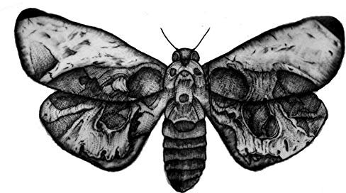 EROSPA® Tattoo-Bogen/Sticker temporär - Motte/Moth/Schmetterling