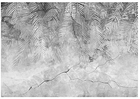 Fototapete Federn Palmenblätter Pflanzen grau Beton Vintage Retro - inkl. Kleister - für Wohnzimmer Schlafzimmer Flur Modern Vlies Tapete Vliestapete Wandtapete Motivtapeten Montagefertig (368x254 cm)