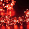 KINGCOO Solarlampen Blumen Schnur Lichter Außen, Wasserdicht 23ft/7m 50 LED Pfirsichblüte Kirschblüte Solar Lichterkette für GärtenHäuser Hochzeit Weihnachtsfeier Dekorationen (Rot)