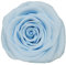 ZEYRU 3–4 cm konservierte frische Rosenköpfe, Heim-/Hochzeitsdekoration, Blumen, frische, echte ewige natürliche Rosen, Floristen-DIY-Blumenmaterial, Babyblau, 3–4 cm (12 Stück)
