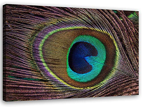 Feeby Leinwandbild abstrakt Bild Kunstdruck Pfauenfedern mehrfarbig 80x60 cm