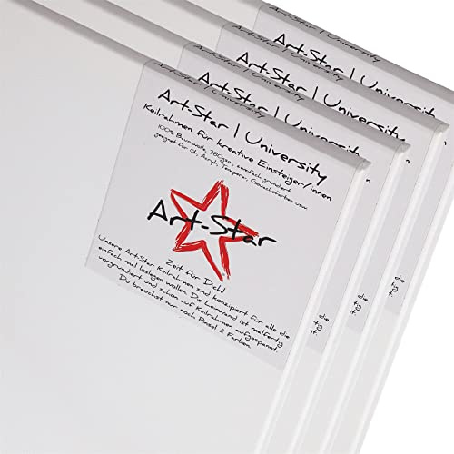 4x Art-Star | UNIVERSITY KEILRAHMEN 60x60 cm | Leinwände auf Keilrahmen 60x60 cm | Leinwandtuch vorgrundiert, malfertige bespannte quadratische Keilrahmen mit Leinwand zum malen