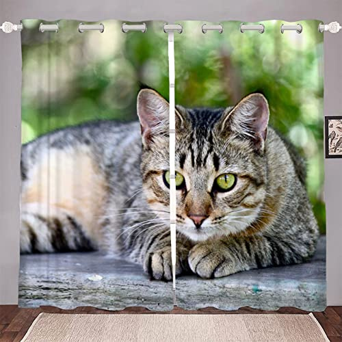 Gardinen Graue Getigerte Katze Vorhänge Wohnzimme mit Ösen Modernes Design Vorhänge Blickdicht Schallschutz Vorhang für Schlafzimmer Wohnzimmer 117 x 183 cm (BxH) 2er Set