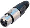 Neutrik NC 4 FX 16 AWG, 4 Pin, XLR Buchse Kabel