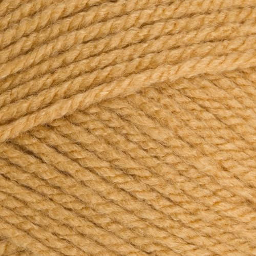 Stylecraft 9051420 Special Aran Camel (1420) Yarn - 100g
