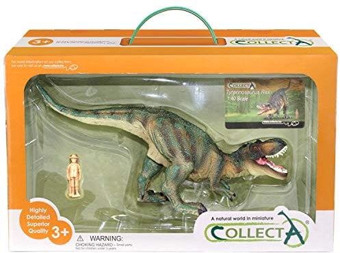 Collecta Prehistoric Life Tyrannosaurus Rex Deluxe, Maßstab 1:40, von Paläontologen zugelassenes Dinosaurier-Modell in Fensterbox