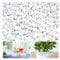 Luluda Piedras Decorativas Guijarros Blancos Piedras Decorativas Pequeñas Guijarros de Grava Ornamentales Naturales Piedras de Mármol Piedras Decorativas para Macetas Acuario Jardín Balcón, 500g