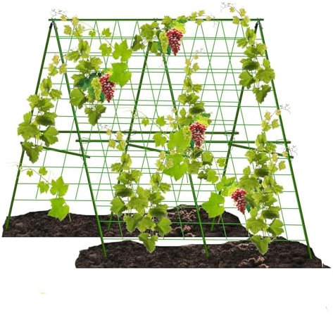 Metall Gurke Rankhilfe, Rankgitter für Gurke, Gitternetz Kletterpflanzen Rankhilfe, Tomaten Rankhilfe, Pflanzenstütze für Blumen & Nutzpflanzen