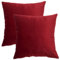 GONOVE Kissenbezug 50x50cm Dekorative Wurf Kissenbezug 2er Set Samt Weiche Kissenbezüge Dekokissenbezug Sofakissen Couchkissen Kissenhülle für Wohnzimmer Sofa Schlafzimmer