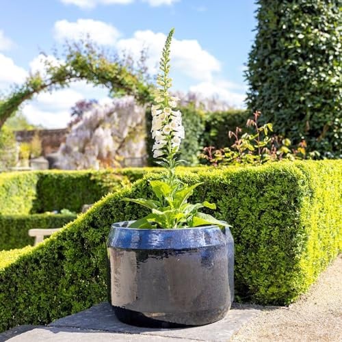 Primrose H41cm Stoneware Round Planter In Blue Garden Patio Flower Pot