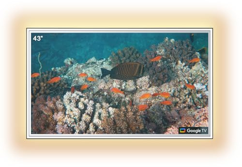 Soulaca 43 pollici TV specchio da bagno con luce LED, 4K Ultra HD moderno Vanity Mirror Smart TV, Sintonizzatore DVB-T/DVB-T2, HYM43E-0BLS11070,HEVC Main10
