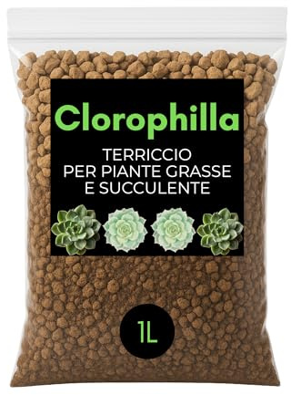 Clorophilla – Terriccio Professionale per Piante Grasse e Succulente, Substrato Drenante con Sabbia Vulcanica, Sabbia di Fiume e Pomice | Ideale per Cactus, Succulente e Piante da Appart (1 LITRO)