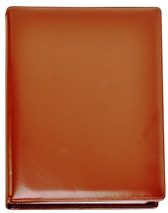 Arpan – Porte-vues professionnel 48 pochettes pour 96 vues, format A4, marron
