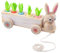 shirylzee Montessori Spielzeug ab 3 4 5 Jahr, Holzspielzeug für Kinder, Baby Motorikspielzeug, Sortierspiel Holzpuzzle Karottenernte, Lernspielzeug Geschenk für Jungen und Mädchen