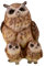 Kremers Schatzkiste Dekofigur Eule mit 2 Babys weiß - Skulptur 17 cm Deko Figur Vogel Geschenk Tier Polyresin Eulenfigur Uhu