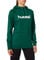hummel Damen GO Cotton Logo Hoodie Kapuzenpullover, EverGreen, 2XL